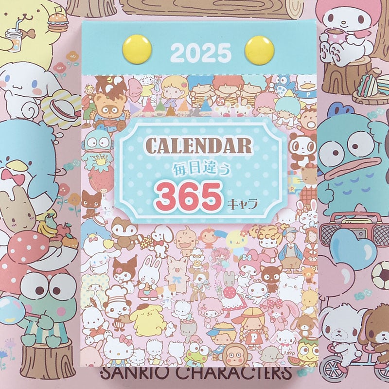 Sanrio Characters 2025 Daily Wall Calendar Stationery Japan Original   