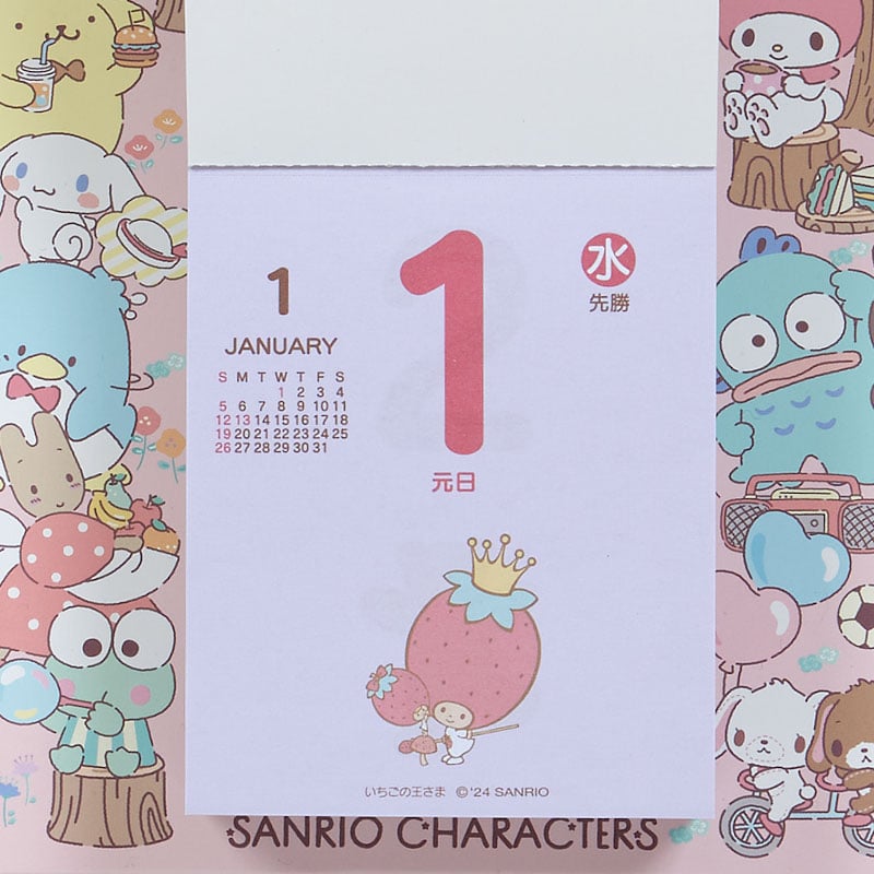 Sanrio Characters 2025 Daily Wall Calendar Stationery Japan Original   