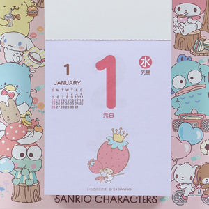 Sanrio Characters 2025 Daily Wall Calendar Stationery Japan Original   