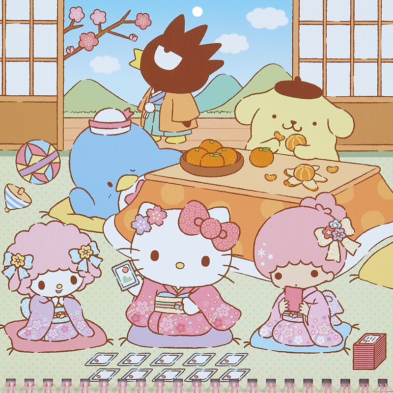 Sanrio Characters 2025 Wall Calendar Stationery Japan Original   