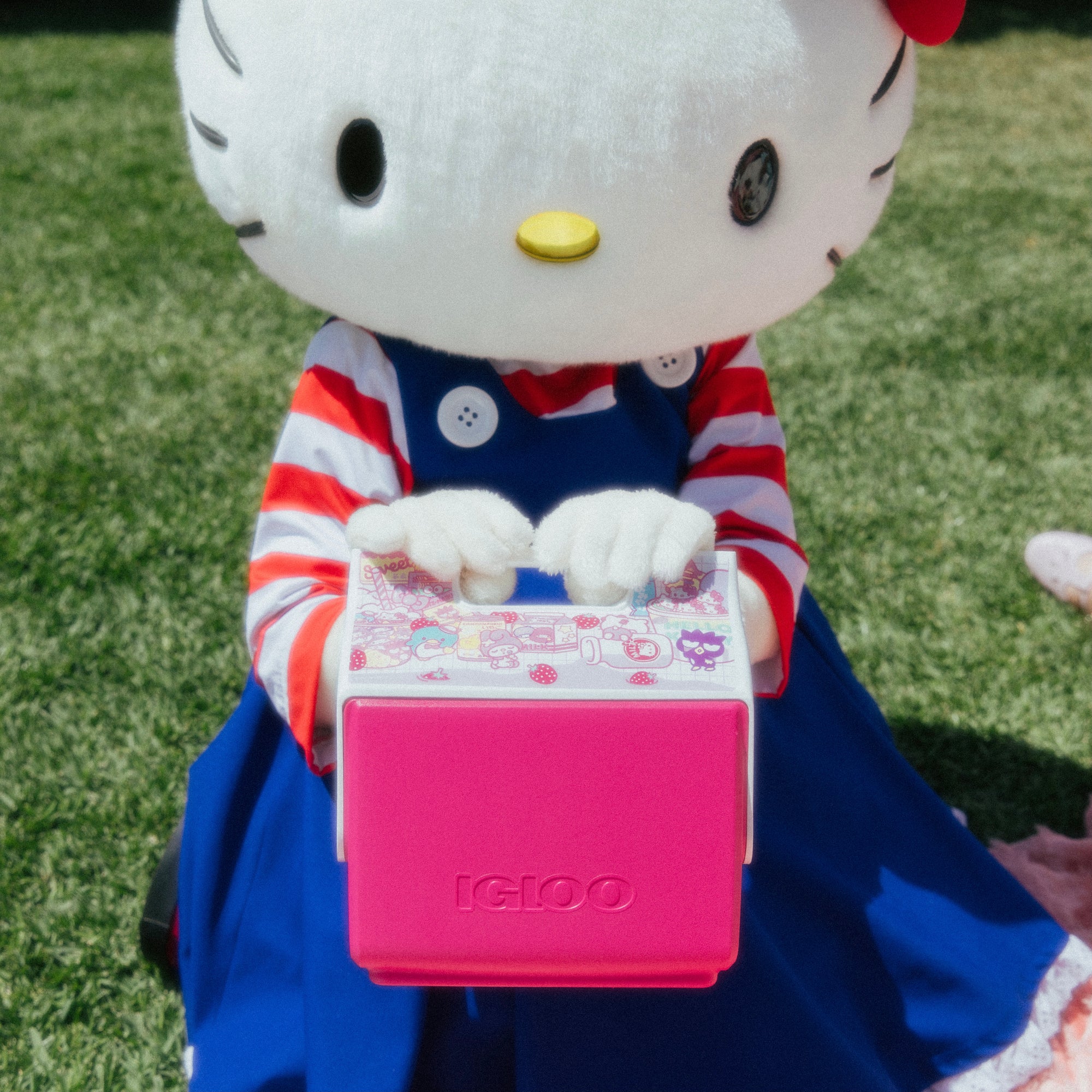 Hello Kitty and Friends Igloo Strawberry Milk Little Playmate Cooler Travel Igloo Products Corp